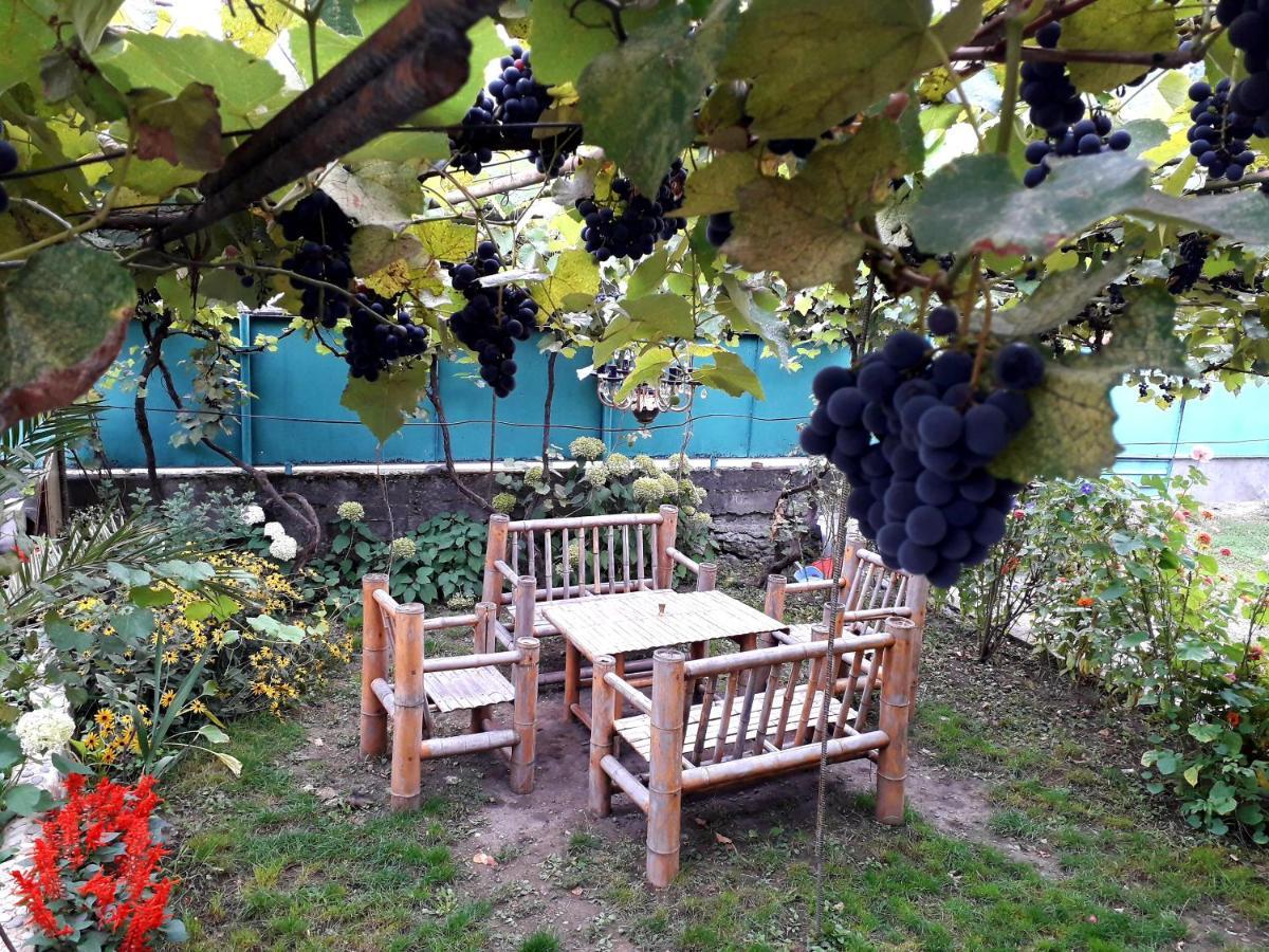 Holiday Home Borjomi Esterno foto