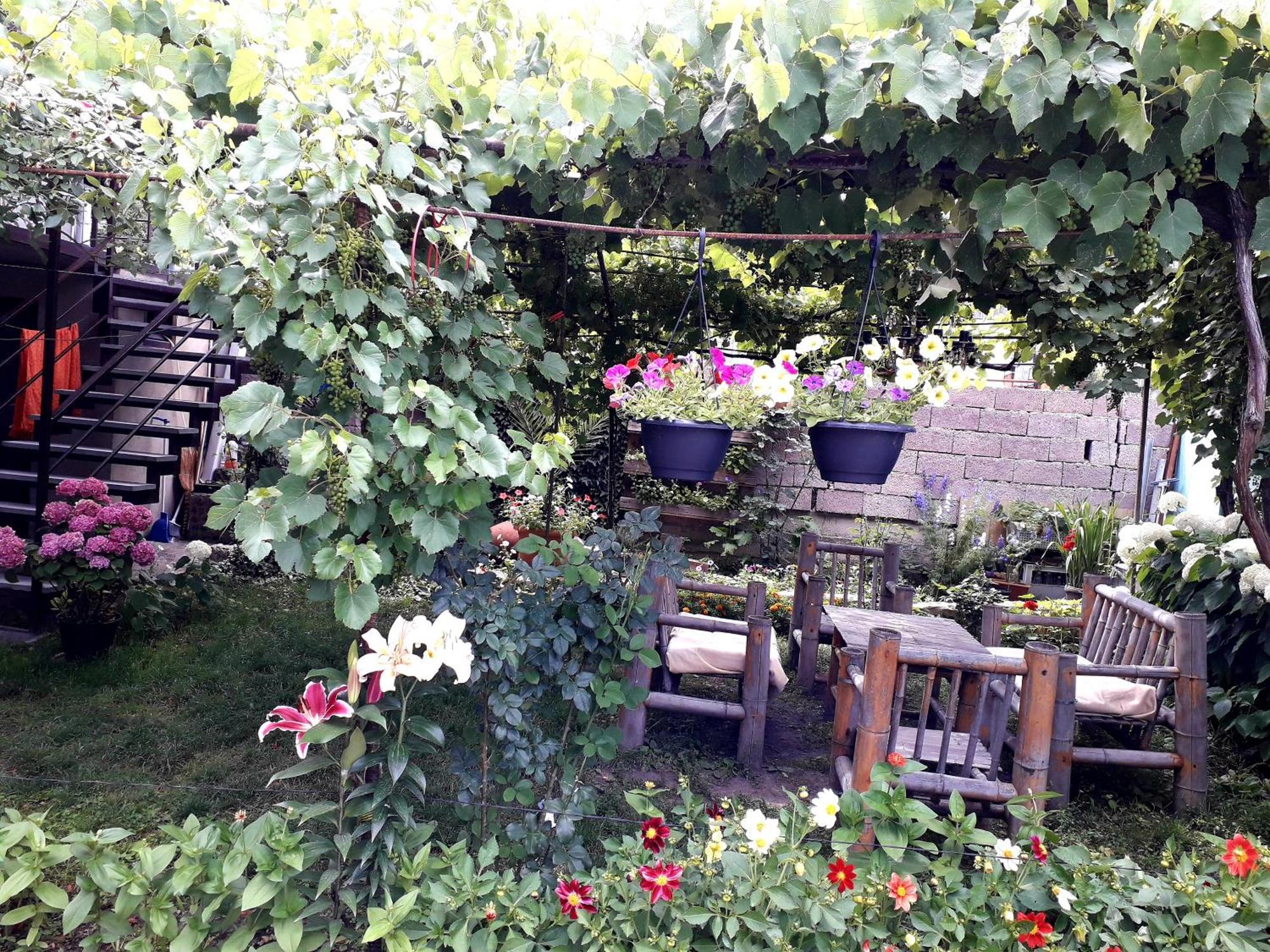 Holiday Home Borjomi Esterno foto